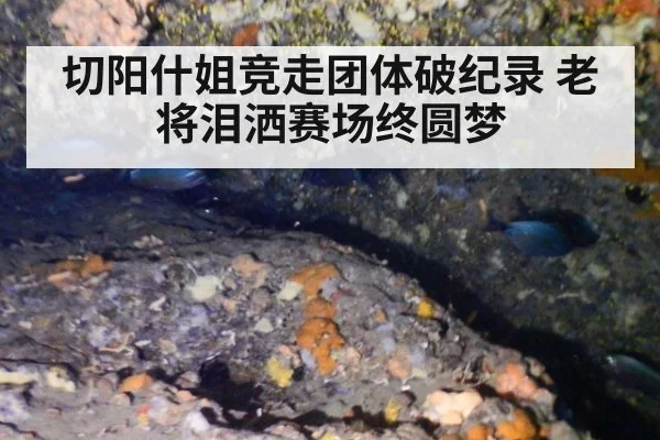 切阳什姐竞走团体破纪录 老将泪洒赛场终圆梦