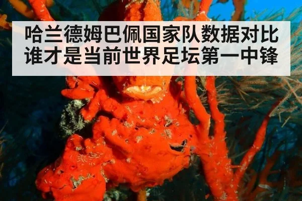 哈兰德姆巴佩国家队数据对比 谁才是当前世界足坛第一中锋